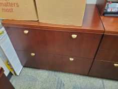 [#D6-53] 2-Drawer Filing Cabinet